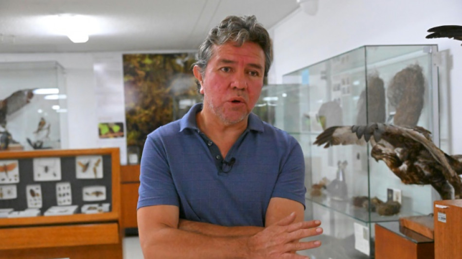 Ci&ecirc;ncia sob amea&ccedil;a: viol&ecirc;ncia do narcotr&aacute;fico atrapalha pesquisas no Equador