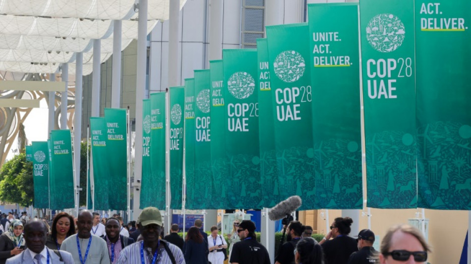 COP28: quand la pollution brouille le ciel de Duba&iuml;, en pleine conf&eacute;rence sur le climat