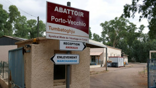 Maltraitance animale: plainte de L214 contre l'abattoir de Porto-Vecchio