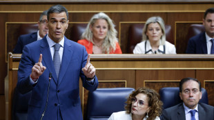 S&aacute;nchez, 'Madrid non dovr&agrave; aumentare spese militari al 5%'
