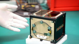 Le premier satellite en bois construit au Japon