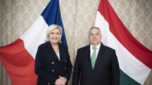 Da Orban solidariet&agrave; a Le Pen, 'je suis Marine'