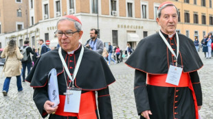 Los cardenales deciden la fecha del c&oacute;nclave para elegir al sucesor de Francisco