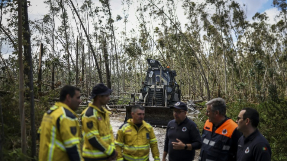 After winter storms, fires now threaten Portugal's forests