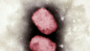 Erster best&auml;tigter Affenpockenfall in Deutschland genesen entlassen