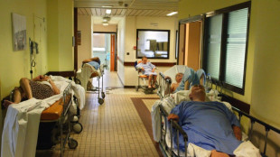 Piratas inform&aacute;ticos piden rescate tras jaquear un hospital en Francia