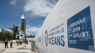 La ONU pide acciones m&aacute;s ambiciosas para proteger los oc&eacute;anos