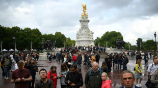 Devant Buckingham, inqui&eacute;tude et admiration pour la reine