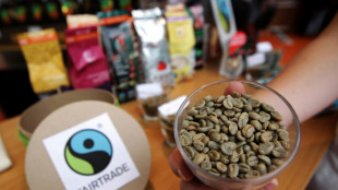 Umsatzrekord für Fairtrade-Produkte 