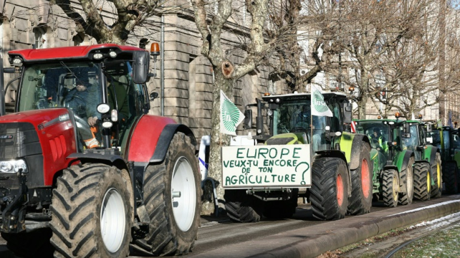 As concess&otilde;es da UE a seus agricultores em troca de apoio a acordo com Mercosul