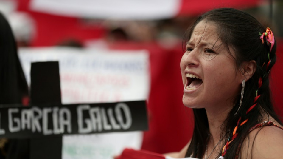 Perus Präsidentin ruft zu "nationalem Waffenstillstand" auf