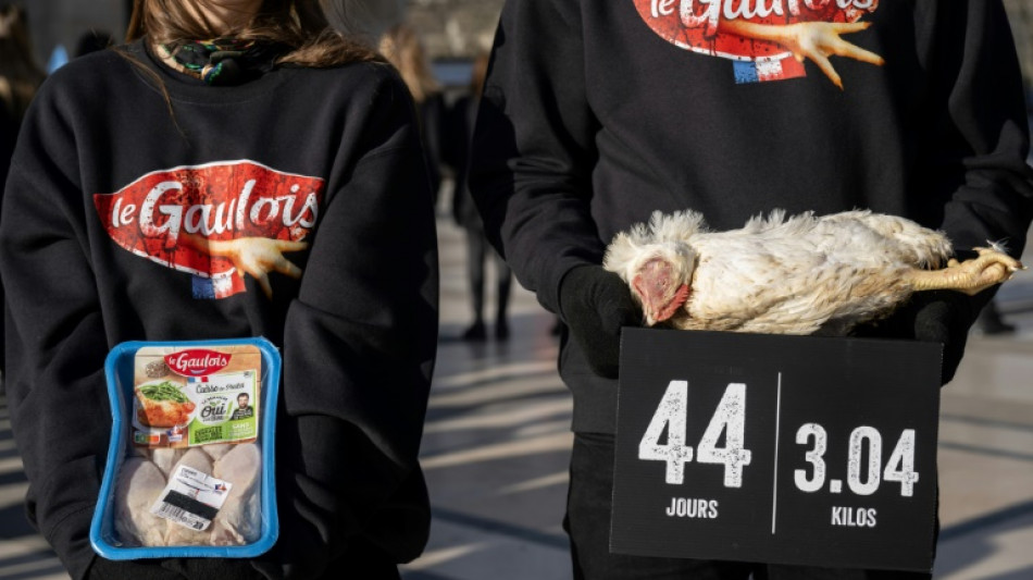 Conditions d'&eacute;levage: l'association L214 assign&eacute;e en r&eacute;f&eacute;r&eacute; par le groupe LDC (Le Gaulois)