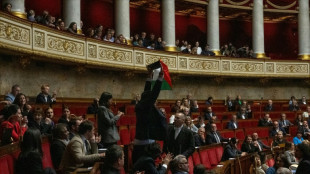 French lawmaker suspended for waving Palestinian flag
