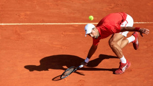 Monte-Carlo: Djokovic et Sinner en demies dans la douleur, Tsitsipas plus ais&eacute;ment
