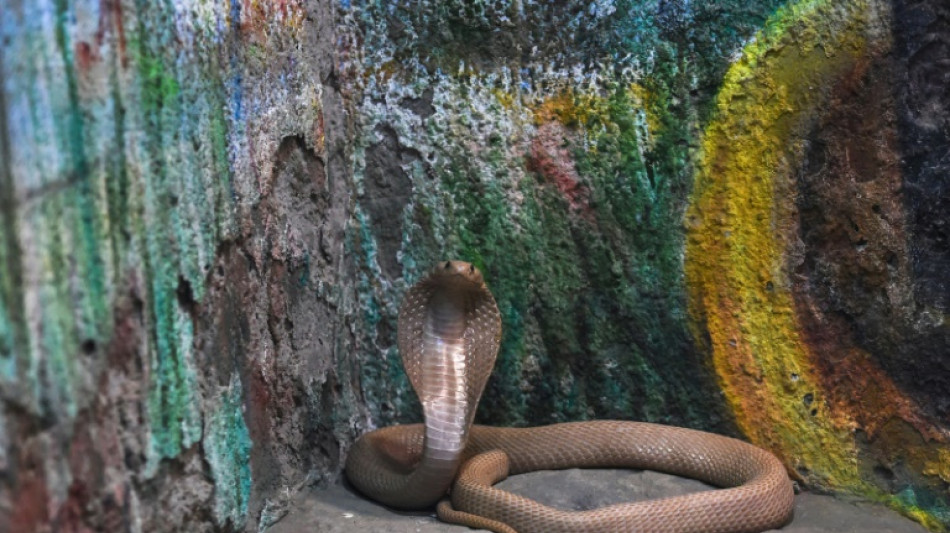 Wom&ouml;glich Giftschlange in Mecklenburg-Vorpommern ausgeb&uuml;xt