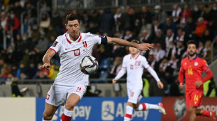 Polen, Tschechien und Schweden fordern: WM-Play-offs nicht in Russland