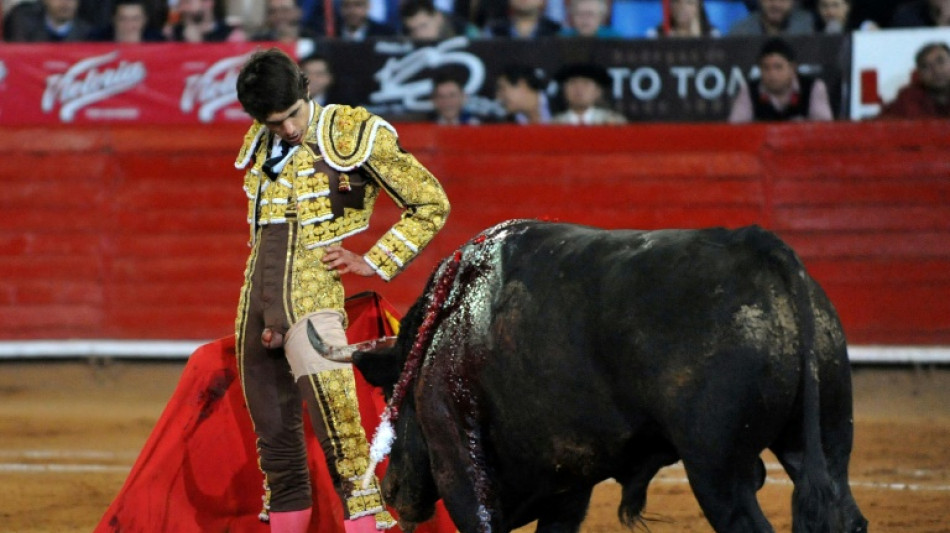 Mexico leader proposes referendum on bull fighting in capital