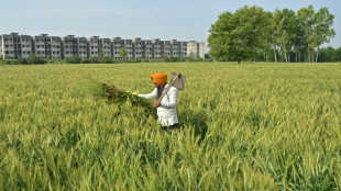 India says 'examining the implications' of US tariffs