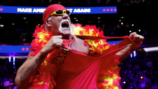 La l&eacute;gende am&eacute;ricaine du catch Hulk Hogan est d&eacute;c&eacute;d&eacute;e &agrave; 71 ans