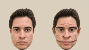 La prosopometamorfopsia o la pesadilla de ver los rostros deformados