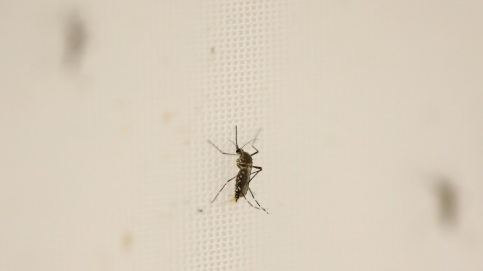 'Ca&ccedil;adores de v&iacute;rus' rastreiam amea&ccedil;as para evitar nova pandemia