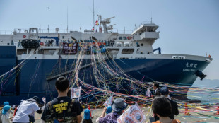 Un nuevo ballenero zarpa de Japón, pese a la controversia en torno al consumo de esta carne
