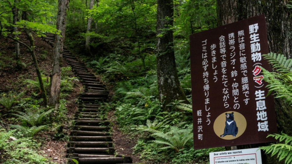 T&ouml;dliche B&auml;renangriffe in Japan: Gouverneur fordert Hilfe der Armee an