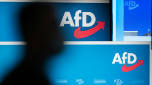 AfD nominiert Werteunion-Chef Otte für Bundespräsidenten-Amt