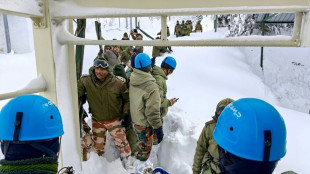 Avalanche dans le nord de l'Inde: une 8e victime retrouv&eacute;e, fin des op&eacute;rations de secours