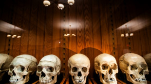Foetus et squelettes: dans un mus&eacute;e am&eacute;ricain, des restes humains au coeur d'un d&eacute;bat &eacute;thique