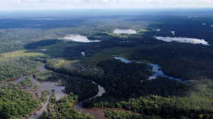 Peru cria reserva indígena na Amazônia para proteger povos em isolamento