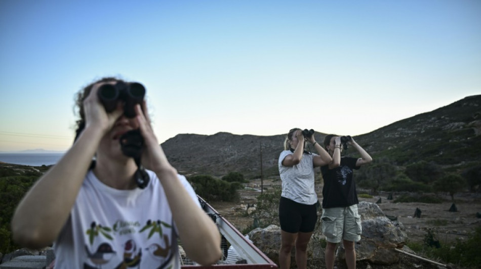 Probable extinci&oacute;n de un ave en Europa por primera vez desde que hay controles de biodiversidad