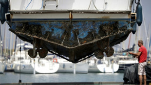 Recyclage de l'eau et d&eacute;salinisation: un port de l'Aude s'adapte &agrave; la s&eacute;cheresse