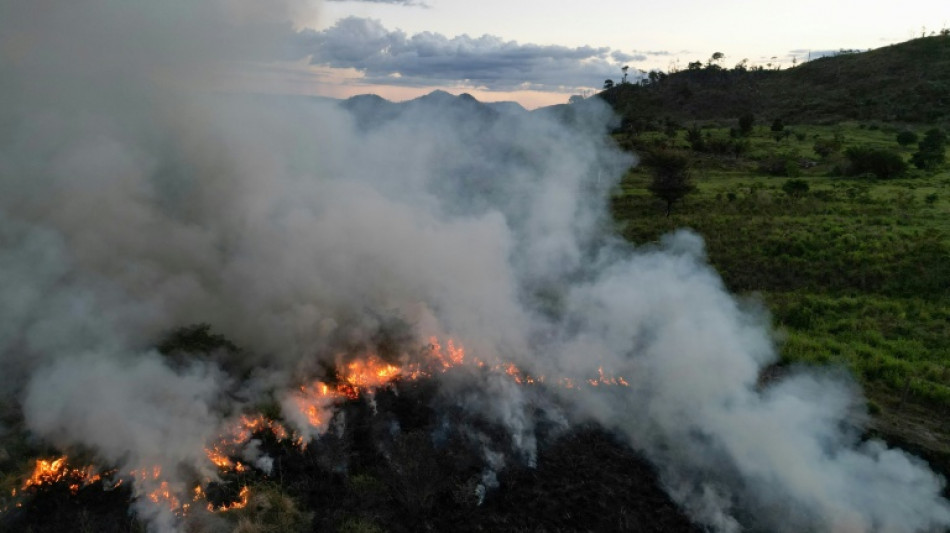 Qui met le feu &agrave; l'Amazonie ?
