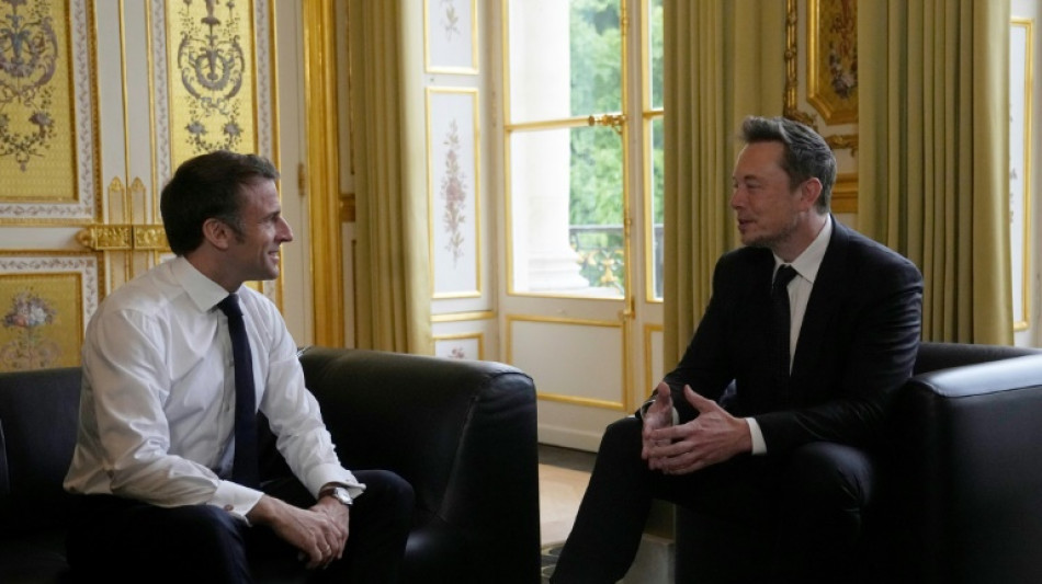 El presidente franc&eacute;s recibe a Elon Musk antes de un evento sobre inversionistas