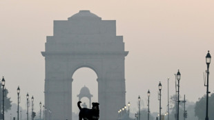 Tribunal ordena captura de dezenas de milhares de c&atilde;es de rua em Nova D&eacute;lhi