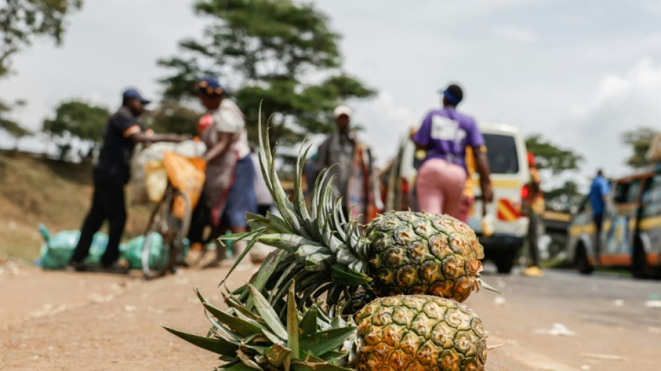 Au Kenya, des gardes du g&eacute;ant am&eacute;ricain Del Monte accus&eacute;s d'agressions, de viols et de meurtres