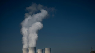 Atomkraftgegner fordern von Berlin Einspruch gegen französisch-russisches Joint Venture