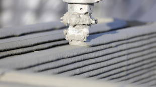 Dal cuore al polpo, c'&egrave; una stampa 3D che unisce pi&ugrave; materiali