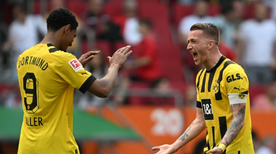 Dortmund boss Terzic praises Haller 'miracle' with title in sight