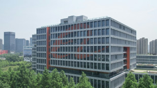 El volumen de negocios trimestral del gigante chino de comercio en l&iacute;nea cae por primera vez