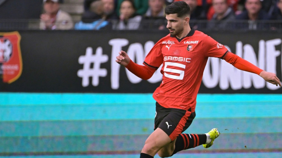 Verst&auml;rkung f&uuml;r die Offensive: Leverkusen verpflichtet Terrier