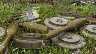 Mosca, 'Pyongyang invier&agrave; nel Kursk sminatori e operai