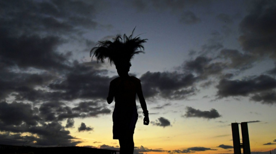 Zollbeamte entdecken Kopfschmuck aus artgesch&uuml;tzten Papageienfedern in Paket