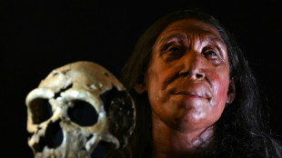 La tête d'une Néandertalienne reconstituée par des chercheurs britanniques 