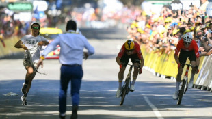 Tour de France: interpellation d'un militant propalestinien ayant perturb&eacute; l'arriv&eacute;e &agrave; Toulouse
