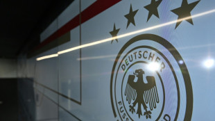 WM 2034: DFB will Bewerbung Saudi-Arabiens abwarten