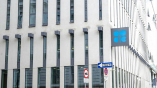 UAE pulls out of OPEC oil cartels citing 'national interests'