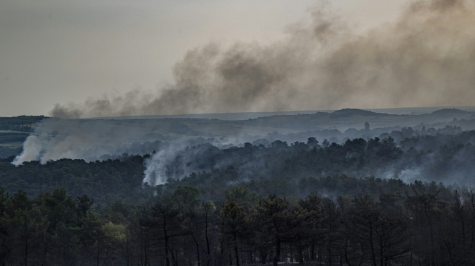 Incendio en parque nacional griego reveló "fracaso crónico" en protección de la naturaleza (ONG)