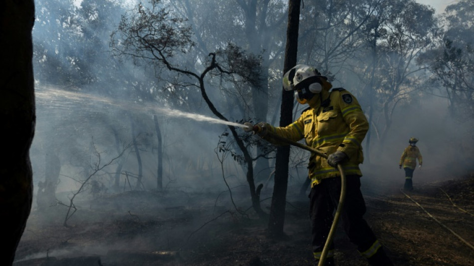 Warnung vor "Horror-Sommer": Schon jetzt Waldbrände in Australien außer Kontrolle
